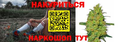 Альфа ПВП Моздок