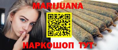 Альфа ПВП Моздок