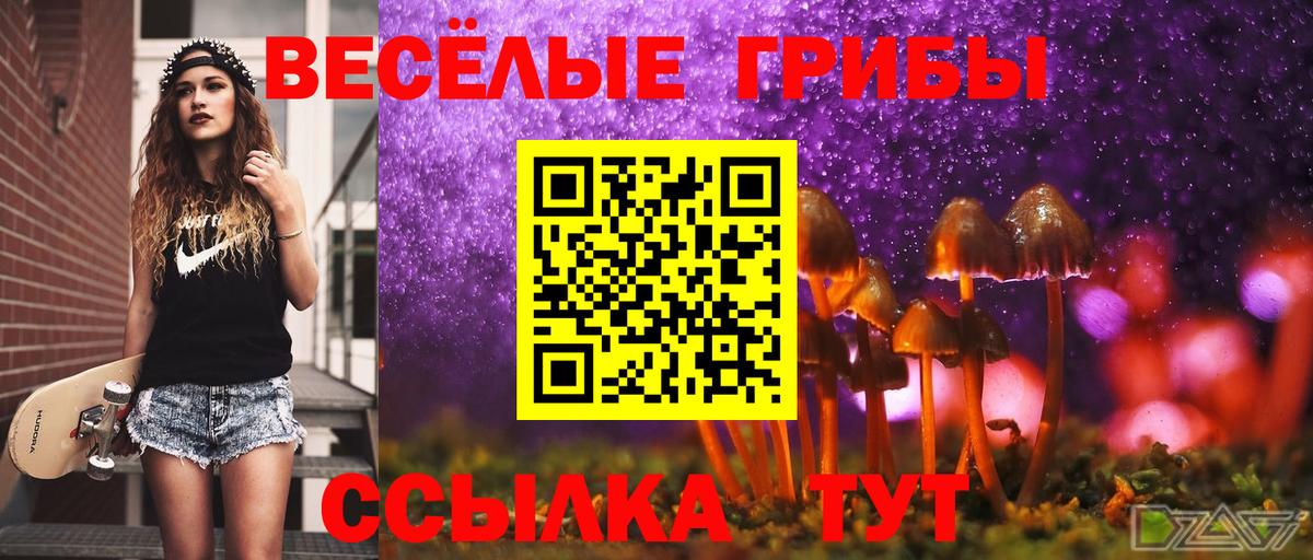 Галлюциногенные грибы Psilocybine cubensis  наркота  Юрга  Вход с VPN 